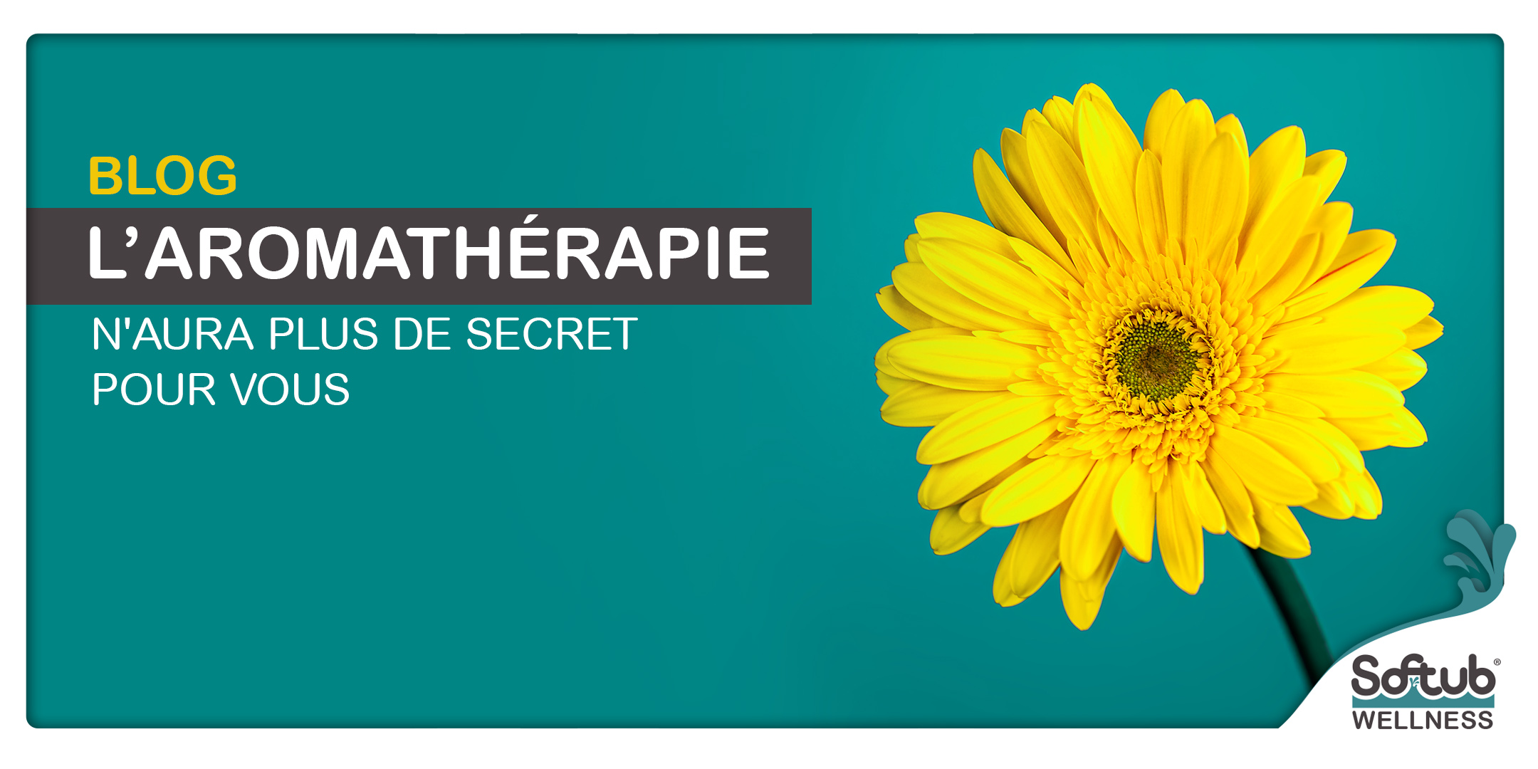 Aromathérapie – Les propriétés curatives des huiles essentielles